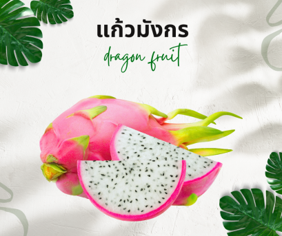 วิธีการใช้กับแก้วมังกร