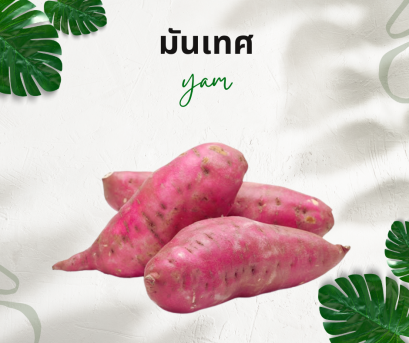 วิธีการใช้กับมันเทศ