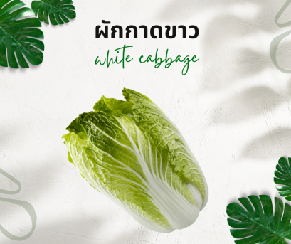 วิธีการใช้กับผักกาดขาวปลี