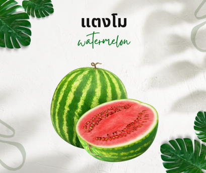 วิธีการใช้กับแตงโม