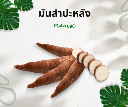 วิธีการใช้กับมันสำปะหลัง