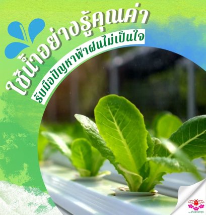 ใช้น้ำอย่างรู้คุณค่า รับมือปัญหาฝนฟ้าไม่เป็นใจ