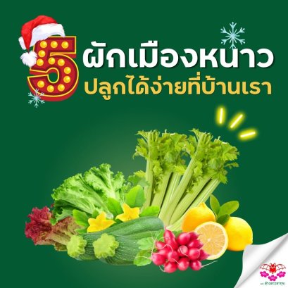 5 ผักเมืองหนาว' ที่นิยมปลูกในไทย
