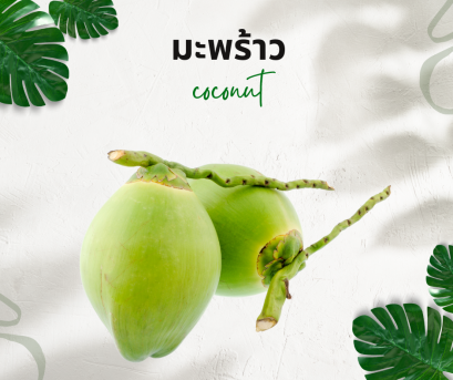 วิธีการใช้กับมะพร้าว