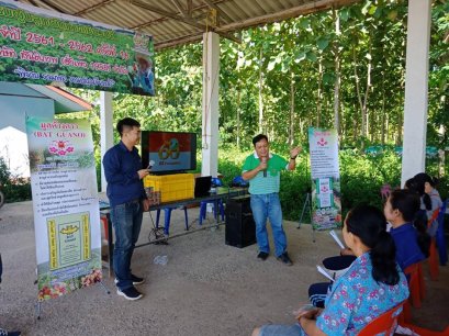 จัดอบรมเกษตรกรผู้ปลูกผักกาดเขียวปลี ปี2561