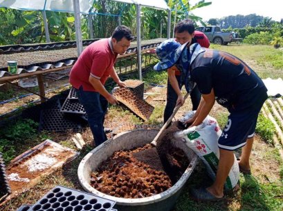 รู้หรือไม่?... ปุ๋ยอินทรีย์ ตรา ค้างคาวซากุระ (ชนิดผง)...สามารถนำมาผสมเป็นมีเดี่ย (วัสดุเพาะกล้า) เพื่อลดต้นทุนจากการซื้อมีเดี่ยได้
