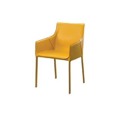 เก้าอี้ SANITO YL