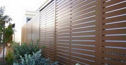 ไม้รั้ว ดูรา