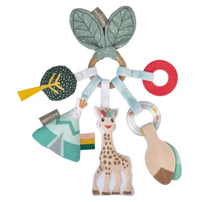 ของเล่นห่วงเขย่า Activity Ring