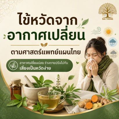 ไข้หวัดจากอากาศเปลี่ยน ตามศาสตร์การแพทย์แผนไทย