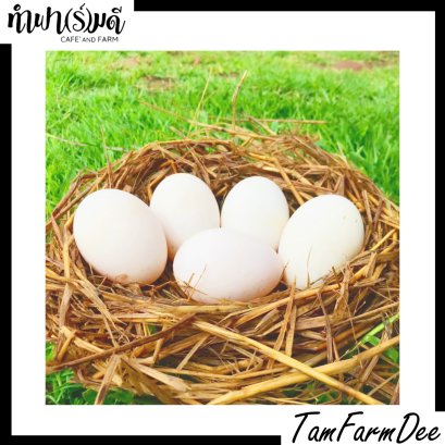 ไข่เป็ดอินทรีย์ 5 ฟอง
