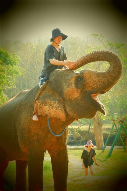 One Day F-Fun Elephant Home