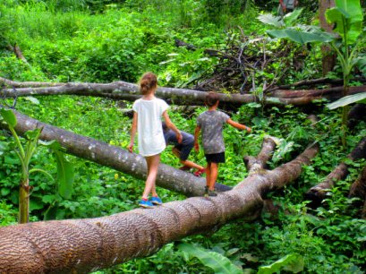 2-Day Hill Tribe Trek Doi Inthanon National Park