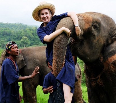 Elephant care project 2 days 1 night