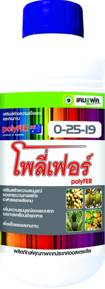 โพลี่เฟอร์