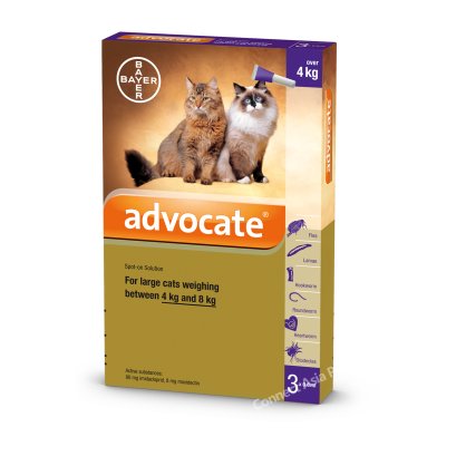 advocate lungworm treatment for dogs