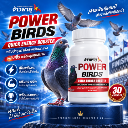 RANDOLPH- POWER BIRD QUICK ENERGY อาหารเสริมพลังงานสำหรับสัตว์ปีก บรรจุ 30 แคปซูล