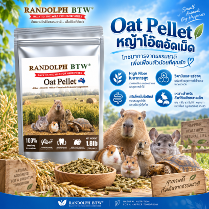 Randolph Oat Pellet 700 กรัม  หญ้าโอ๊ตอัดเม็ด เสริมวิตามิน แร่ธาตุ พลังงาน และโพรไบโอติกส์ 700 กรัม.
