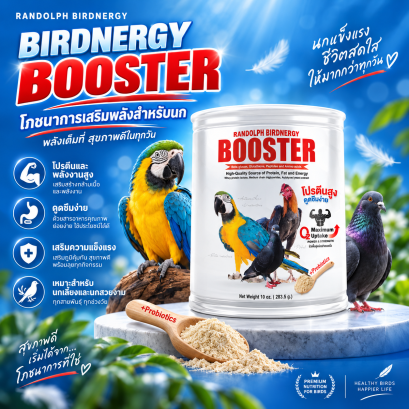Randolph Birdnergy Booster
