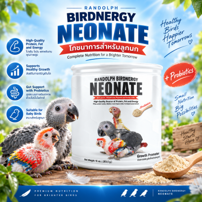 Randolph - Birdnergy Neonate อาหารนกลูกป้อน - ขนาด 283.5 กรัม