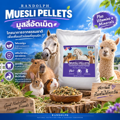 RANDOLPH PELLET 3 กก. สูตร Muesli Pellets – มูสลี่อัดเม็ด