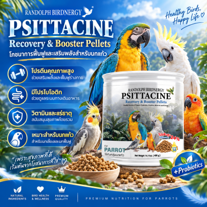 Randolph Birdnergy Psittacine 400g อาหารเม็ดนกแก้ว โปรตีน 24% สูตร Recovery & Booster”