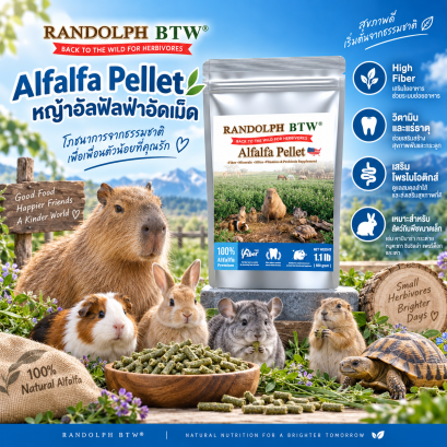 Alfalfa Pellet 500 กรัม  อัลฟัลฟ่าอัดเม็ด ผสมวิตามิน แร่ธาตุ และโพรไบโอติกส์
