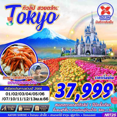 helloholidaytrip ทัวร์ญี่ปุ่น2023 ทัวร์ซากุระญี่ปุ่น