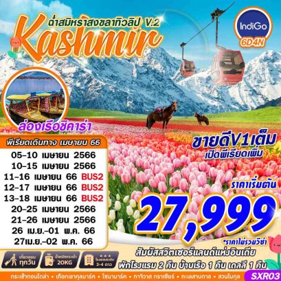 ทัวร์แคชเมียร์ 2566 ทัวรแคชเมียร์สงกรานต์ ทัวร์อินเดีย ทุ่งดอกทิวลิป