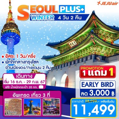 ทัวร์เกาหลี ทัวร์โซล ฟรีเดย์ ทัวร์เกาหลี1แถม1 ทัวร์เกาหลีหน้าหนาว 2567 ทัวร์เกาหลีหิมะ 2024