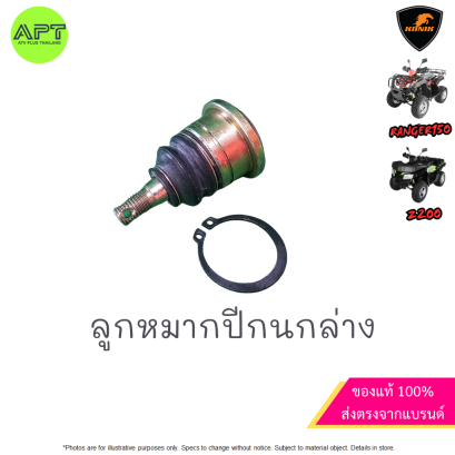 ลูกหมากปีกนก ล่าง