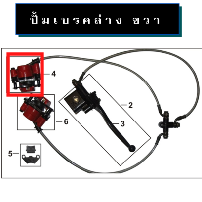 CALIPER &amp; ABS ASSY ( Right )