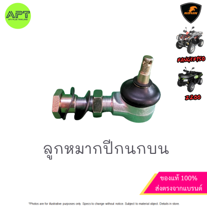 ลูกหมากปีกนก บน