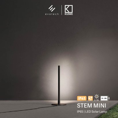 STEM MINI