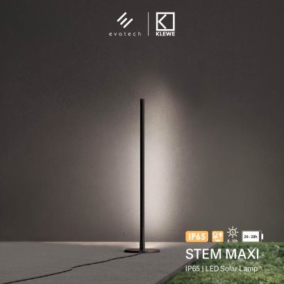 STEM MAXI