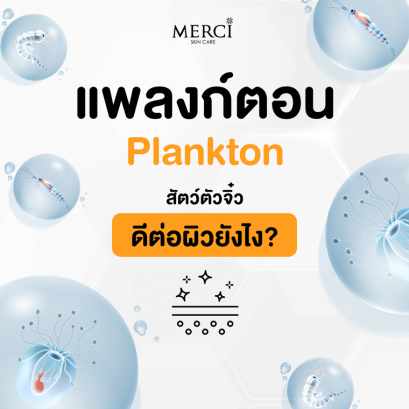 แพลงก์ตอน (Plankton) สัตว์ตัวจิ๋ว ดีต่อผิวยังไง