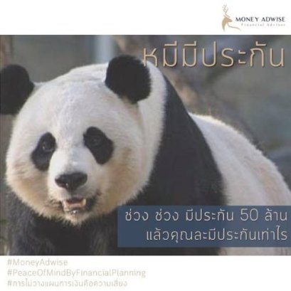 ช่วงช่วง มีประกัน 50 ล้านแล้วคุณละมีประกันเท่าไร