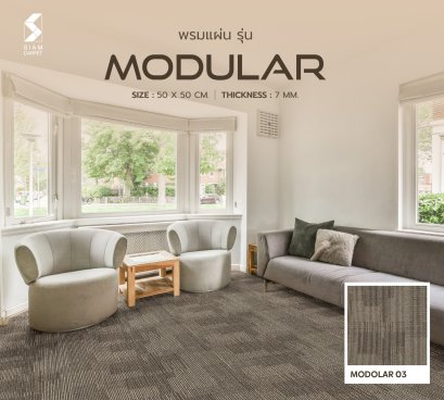 พรมแผ่น รุ่น Modular