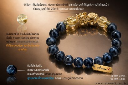 Blue Tiger Eye Premium Collection 1