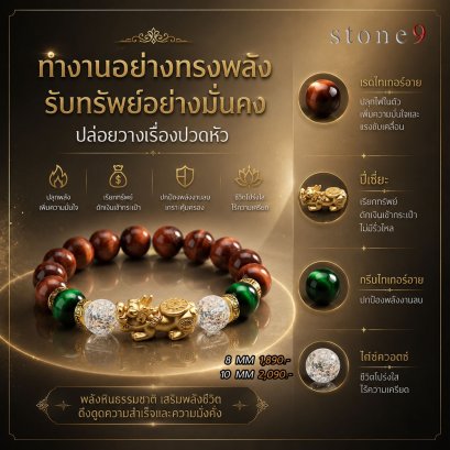 เรดไทเกอร์อาย Collection ทำงานอย่างทรงพลัง รับทรัพย์อย่างมั่งคั่ง