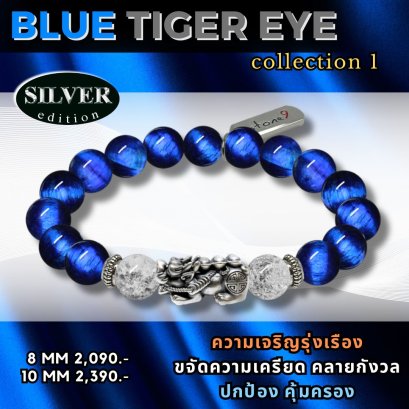 Blue Tiger Eye Collection 1