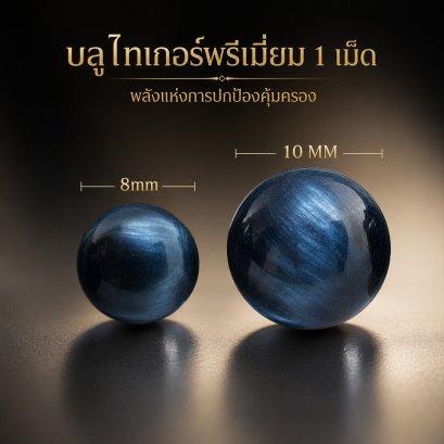 Blue Tiger Eye Premium (บลูไทเกอร์อายพลีเมี่ยม หรือ บลูไทเกอร์แอฟริกาใต้) 1 เม็ด