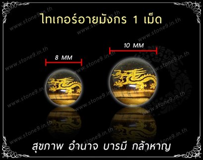 Tiger Eye Dragon (ไทเกอร์อายมังกร) 1 เม็ด