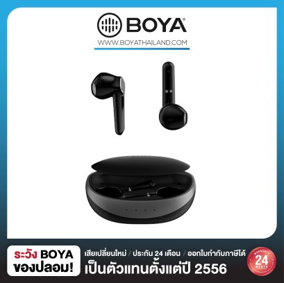 BOYA BY-AP100 Black True Wireless Stereo Earbuds