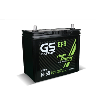 GS N-55 EFB new