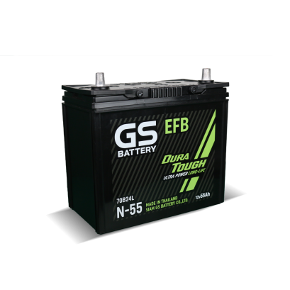 GS N-55 EFB new