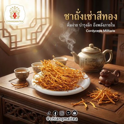 ถั่งเช่า สีทอง