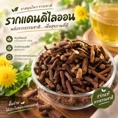 รากแดนดิไลออน-Dried Dandelion