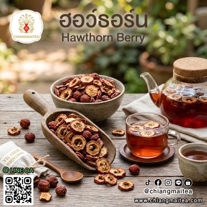 ฮอร์ธอร์น เบอร์รี่ (Hawthorn Berry)