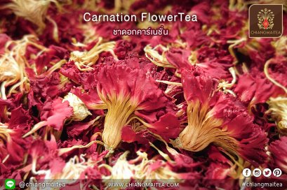 ชาดอกคาร์เนชั่น